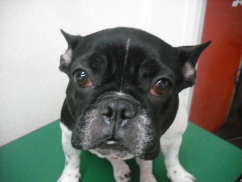 ファイル 2752-1.jpg