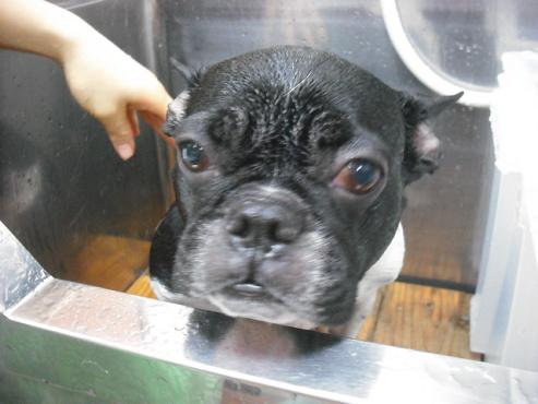 ファイル 2752-2.jpg