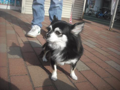 ファイル 2753-2.jpg