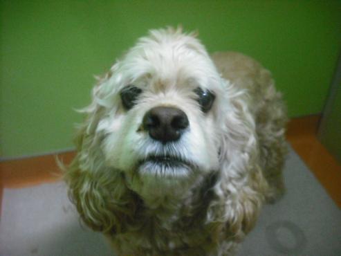 ファイル 2755-1.jpg