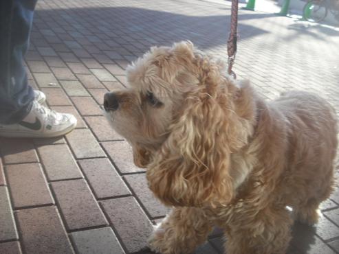 ファイル 2755-2.jpg