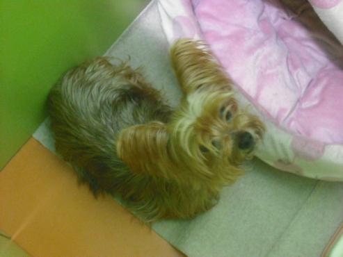 ファイル 2756-2.jpg