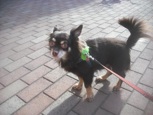 ファイル 2757-2.jpg