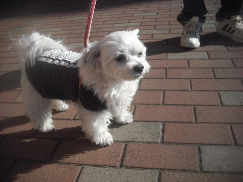 ファイル 2758-2.jpg