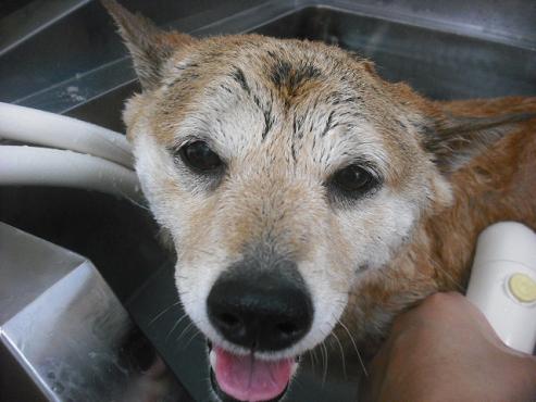 ファイル 276-1.jpg