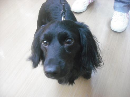 ファイル 2762-2.jpg