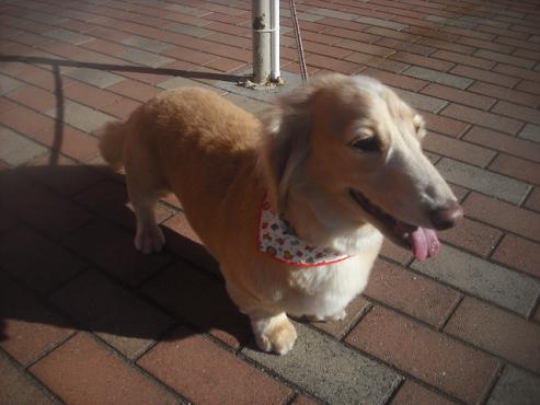 ファイル 2763-2.jpg