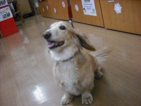 ファイル 2765-2.jpg