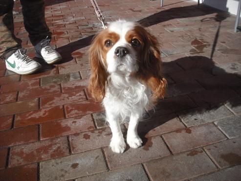 ファイル 2767-2.jpg