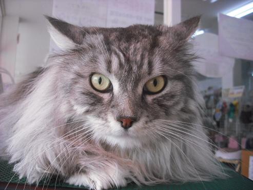 ファイル 277-1.jpg