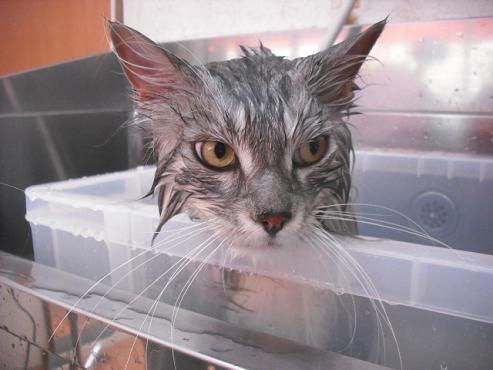 ファイル 277-2.jpg