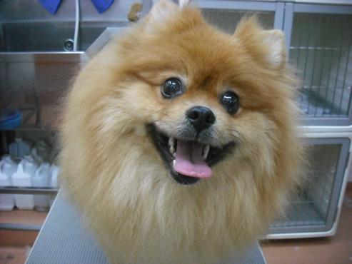 ファイル 2770-1.jpg