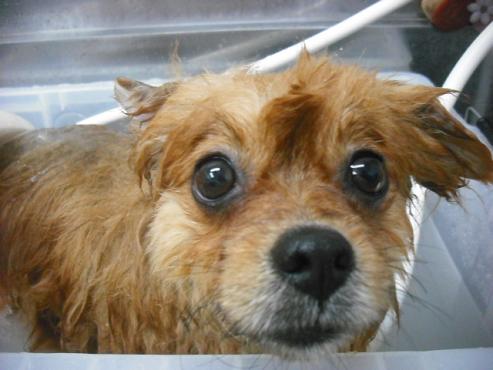 ファイル 2770-2.jpg