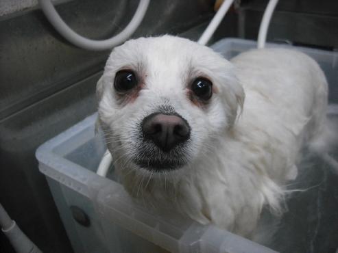 ファイル 2771-2.jpg