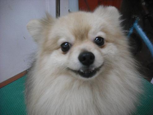 ファイル 2772-1.jpg