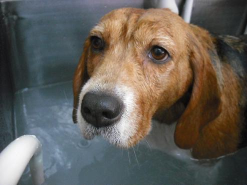 ファイル 2773-2.jpg