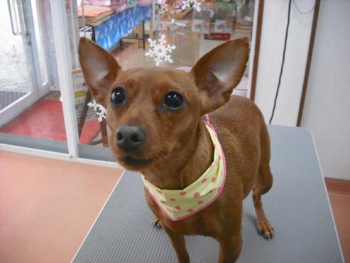 ファイル 2775-1.jpg