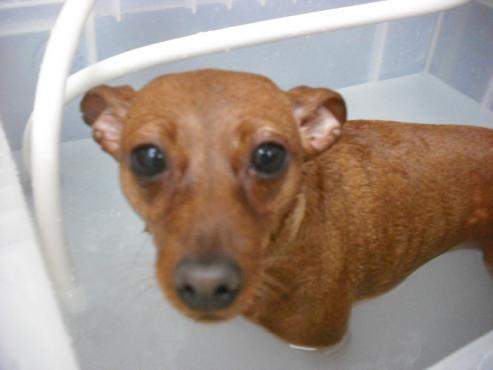 ファイル 2775-2.jpg