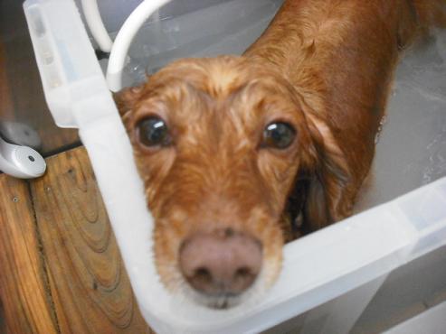 ファイル 2776-2.jpg