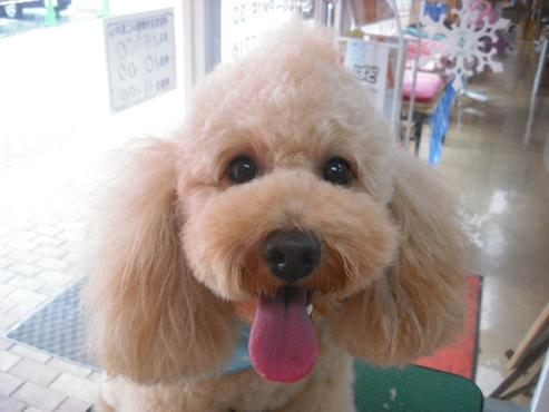 ファイル 2777-1.jpg