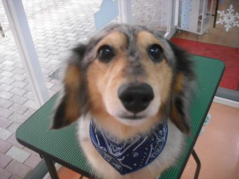 ファイル 2778-1.jpg