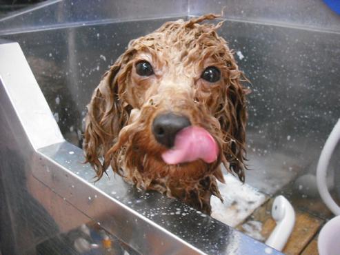 ファイル 2779-2.jpg