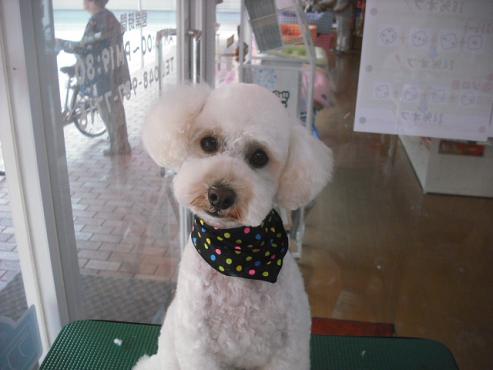 ファイル 278-1.jpg