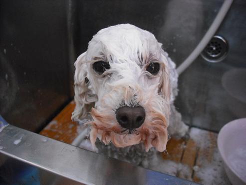 ファイル 278-3.jpg