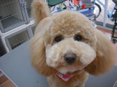 ファイル 2780-1.jpg