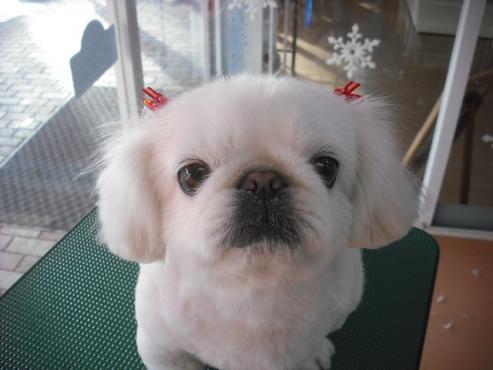 ファイル 2781-1.jpg