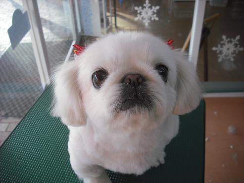 ファイル 2781-2.jpg