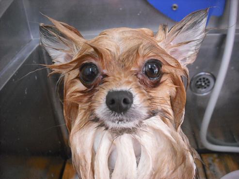 ファイル 2785-2.jpg