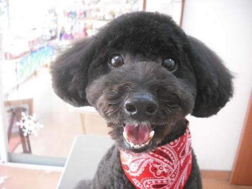 ファイル 2786-1.jpg