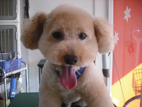 ファイル 2787-1.jpg