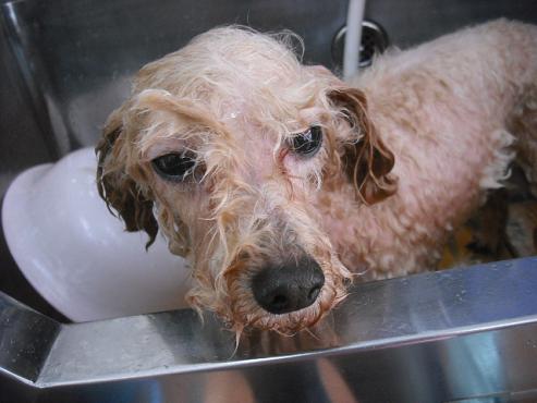 ファイル 2787-2.jpg