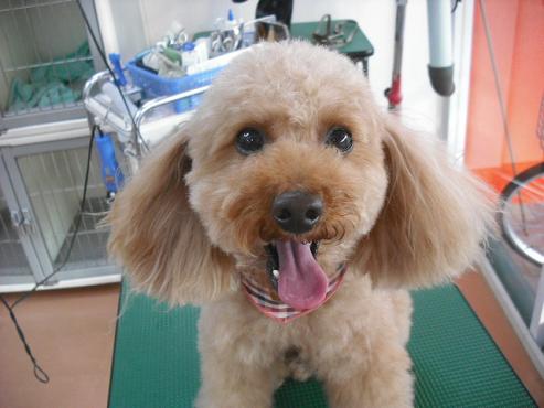 ファイル 2789-1.jpg