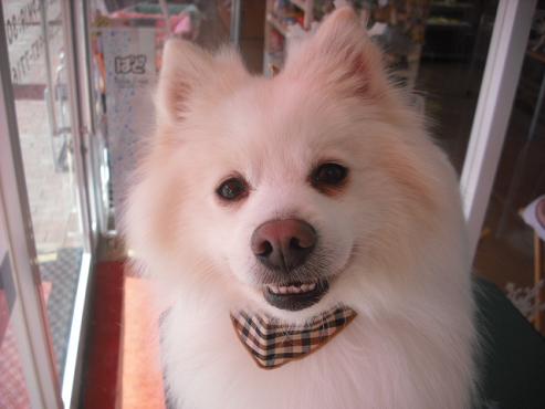 ファイル 2790-1.jpg