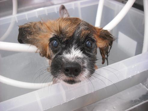 ファイル 2791-1.jpg