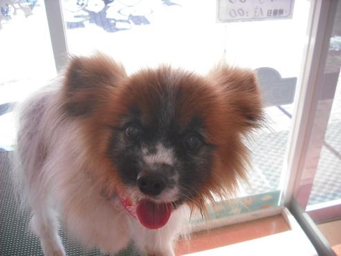 ファイル 2791-2.jpg