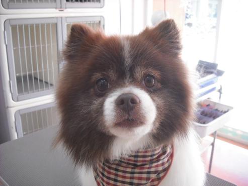 ファイル 2792-1.jpg