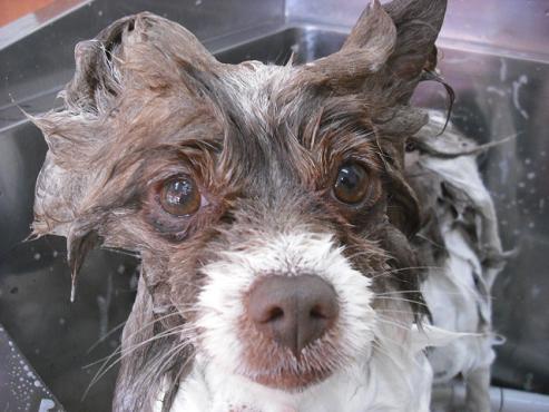 ファイル 2792-2.jpg