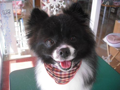 ファイル 2793-1.jpg