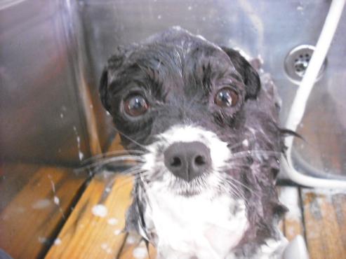 ファイル 2793-2.jpg