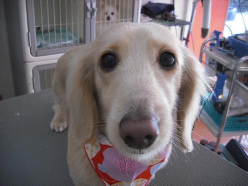 ファイル 2794-1.jpg