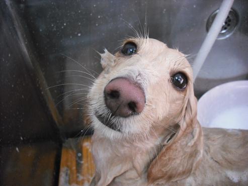 ファイル 2794-2.jpg