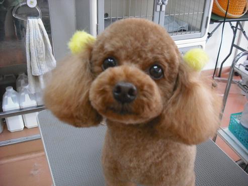 ファイル 2795-1.jpg