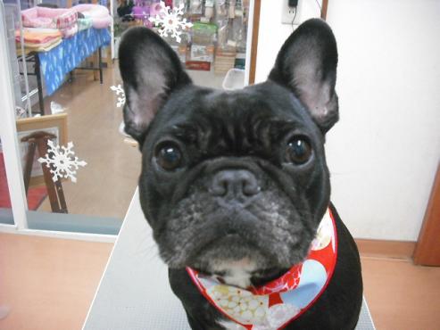 ファイル 2796-1.jpg