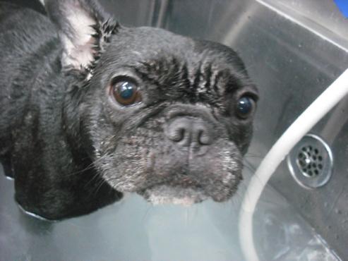 ファイル 2796-2.jpg