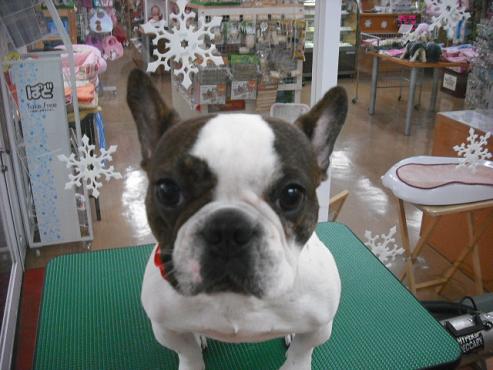 ファイル 2797-1.jpg