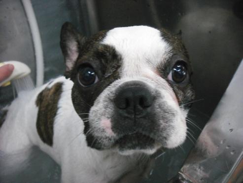 ファイル 2797-2.jpg